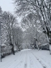 snow scene